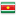 Flag of Suriname