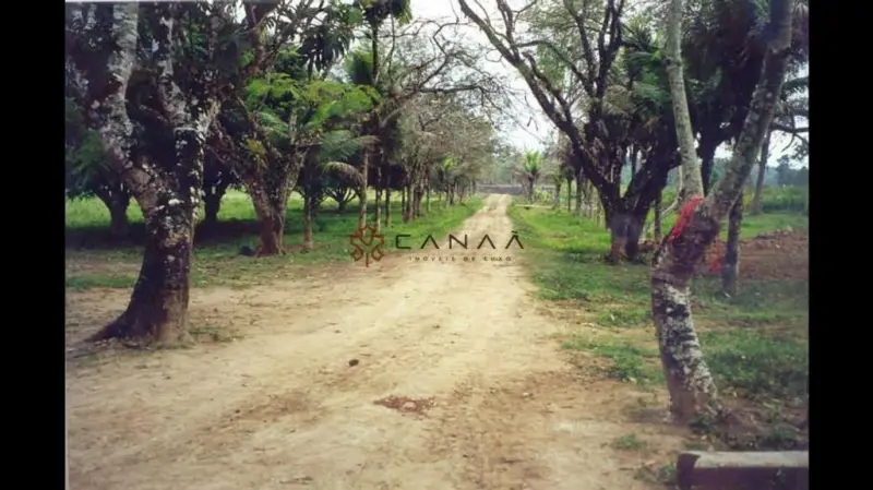 Avatar Bg