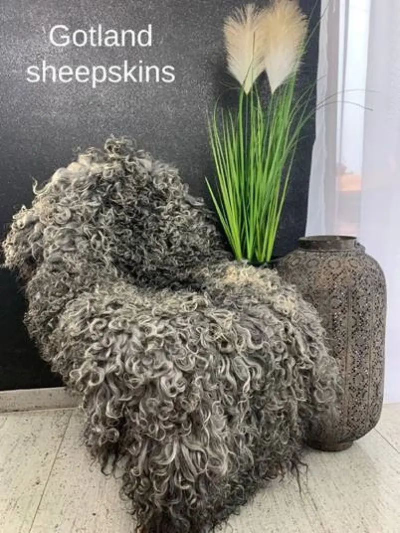 Tannery Poland Avatar Bg