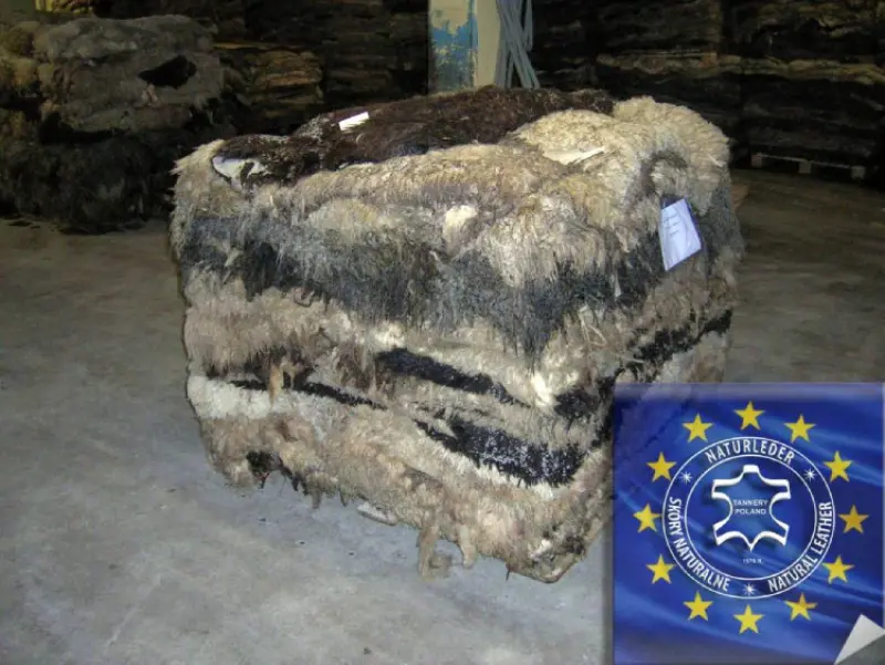 Adam Leather Tannery Pola Avatar Bg