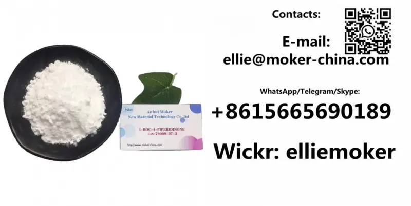 Ellie Moker Avatar Bg
