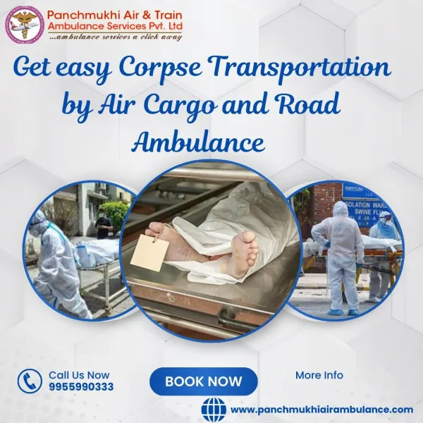 Panchmukhi Air Ambulance Avatar Bg