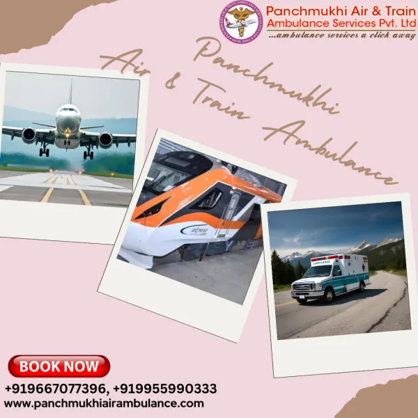 Panchmukhi Air Ambulance Avatar Bg