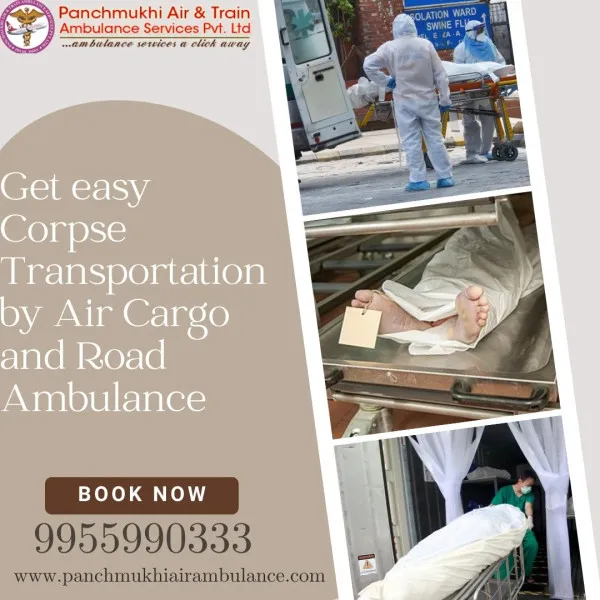 Panchmukhi Air Ambulance Avatar Bg