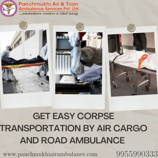 Panchmukhi Air Ambulance Avatar Bg
