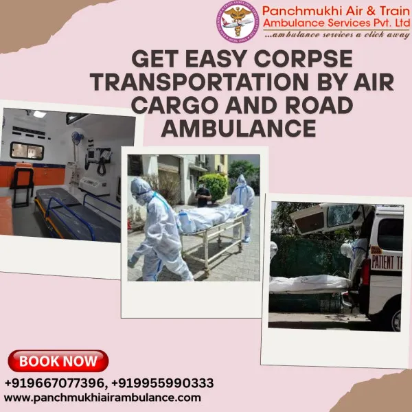 Panchmukhi Air Ambulance Avatar Bg