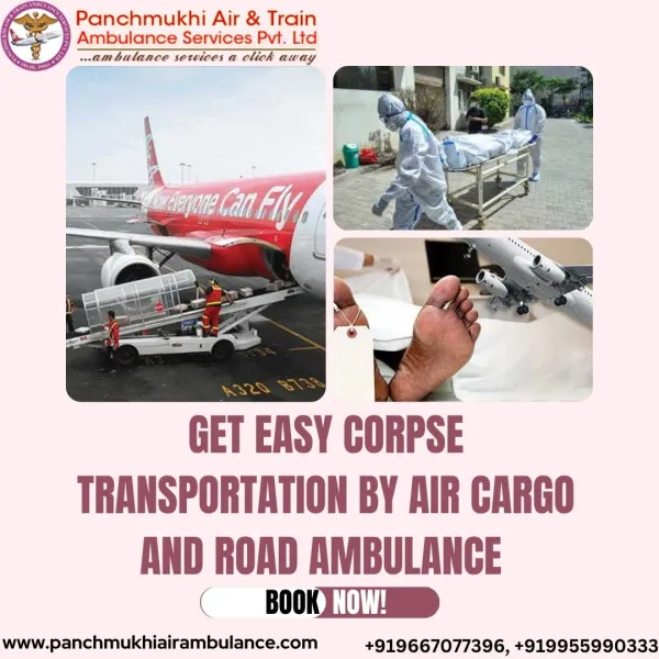 Panchmukhi Air Ambulance Avatar Bg