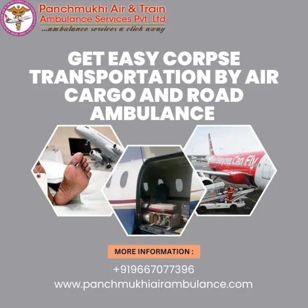 Panchmukhi Air Ambulance Avatar Bg