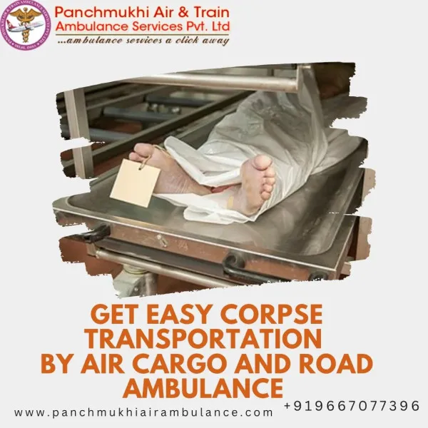 Panchmukhi Air Ambulance Avatar Bg