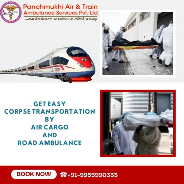 Panchmukhi Air Ambulance Avatar Bg