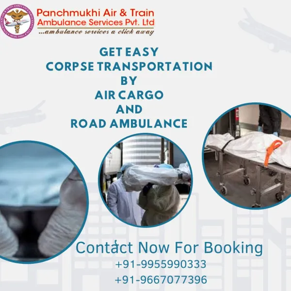 Panchmukhi Air Ambulance Avatar Bg