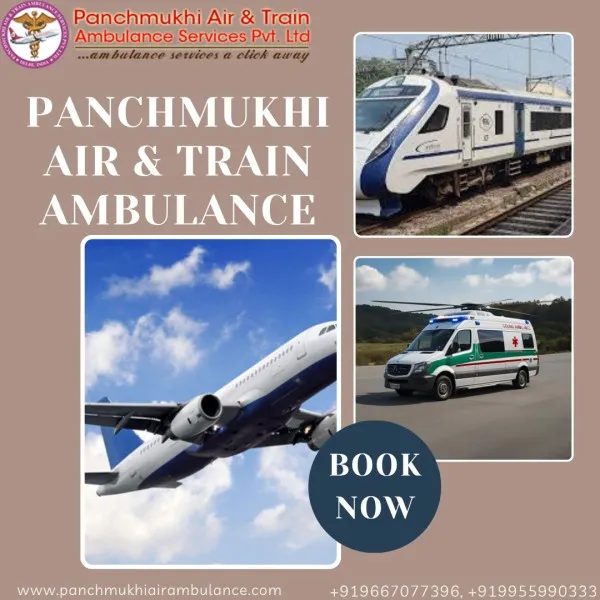 Panchmukhi Air Ambulance Avatar Bg
