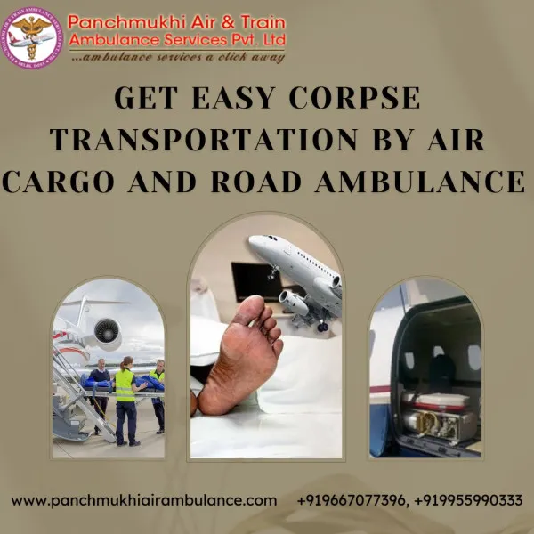 Panchmukhi Air Ambulance Avatar Bg