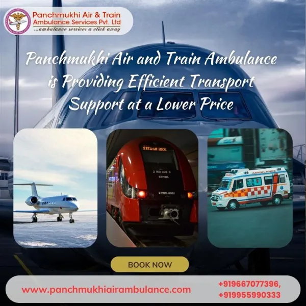 Panchmukhi Air Ambulance Avatar Bg