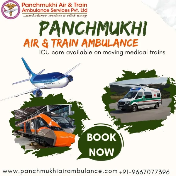 Panchmukhi Air Ambulance Avatar Bg