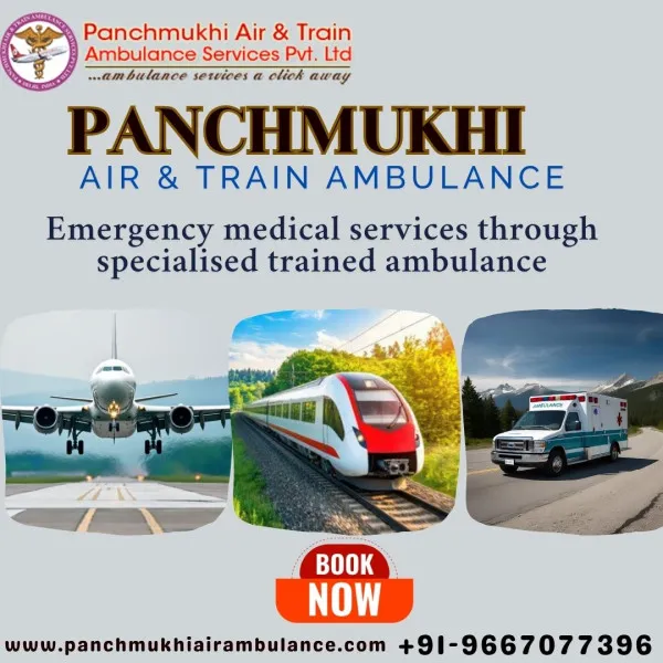 Panchmukhi Air Ambulance Avatar Bg