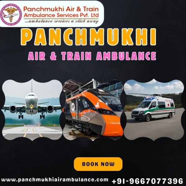 Panchmukhi Air Ambulance Avatar Bg