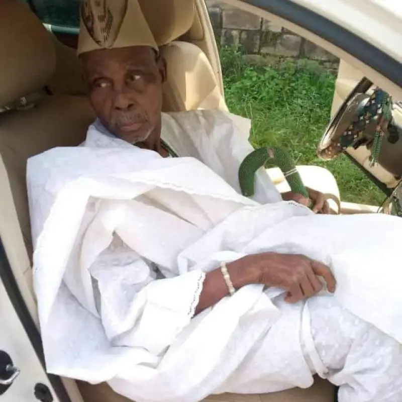 CHIEF DR BABA AIYEGBAJEJE Avatar Bg