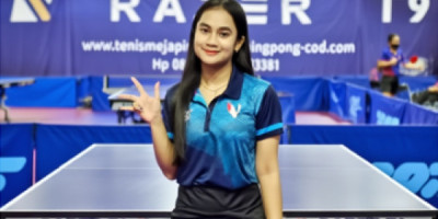 Rental sewa tenis meja pingpong murah jabodetabek