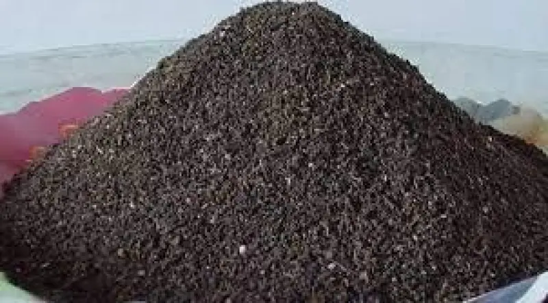 SS Vermicompost Avatar Bg