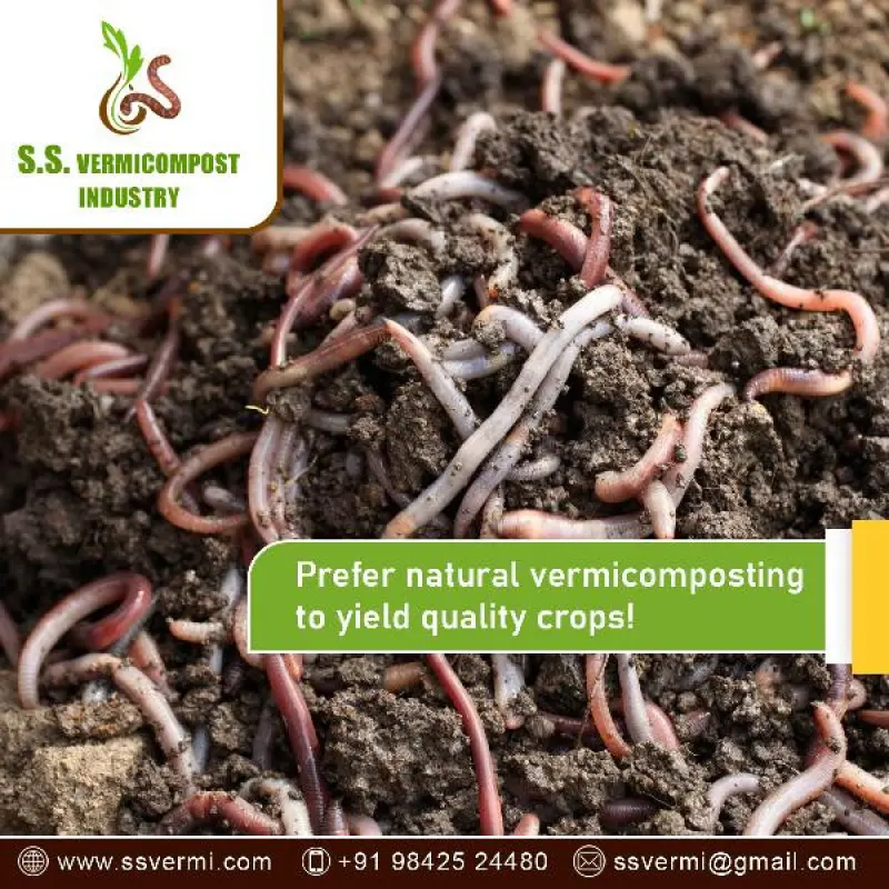 SS Vermicompost Avatar Bg