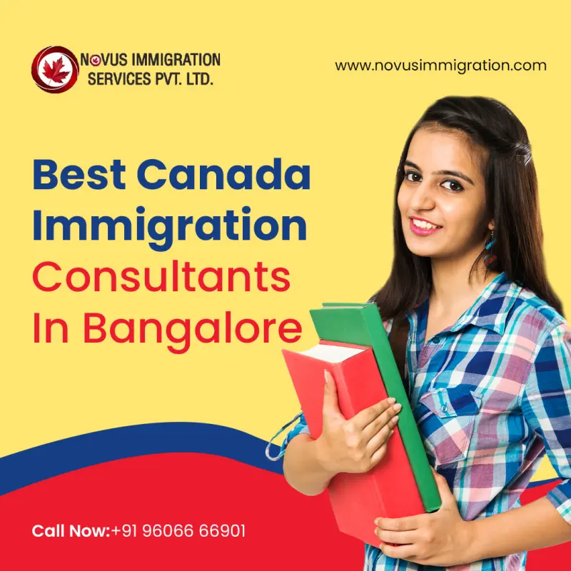 Novus Immigration Avatar Bg