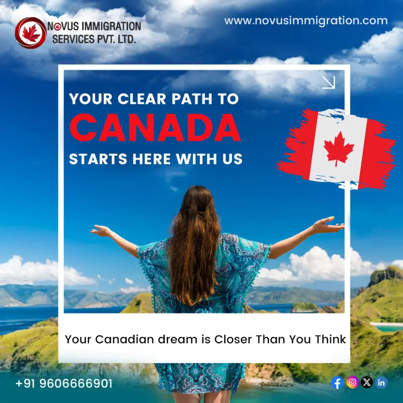 Novus Immigration Avatar Bg