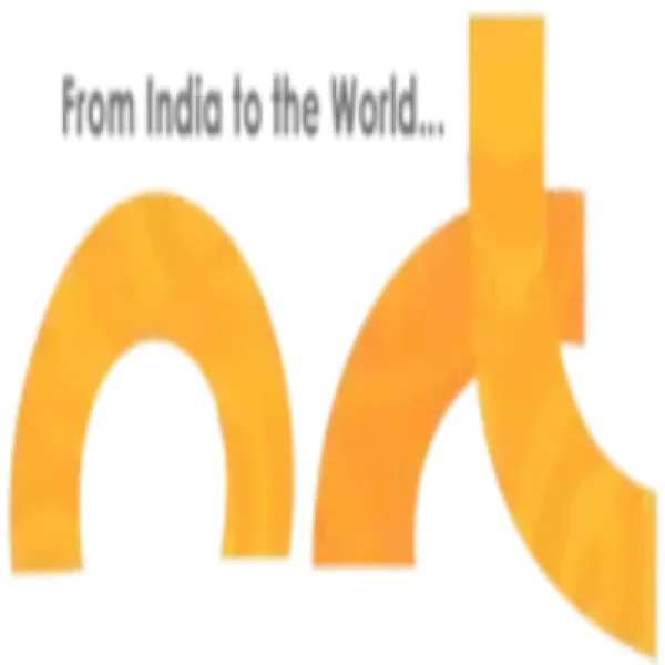NewRise Technosys Avatar Bg