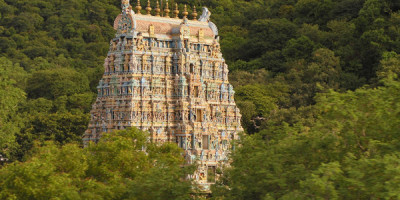 Best Taxi in Madurai Griffin Travels And Tours