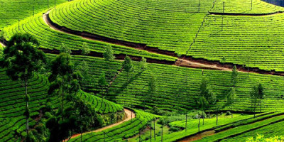 Kerala Tours and Travels Dreamy Distination