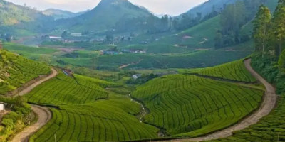 Best Car Rental in Madurai Kavi Tours And Travels