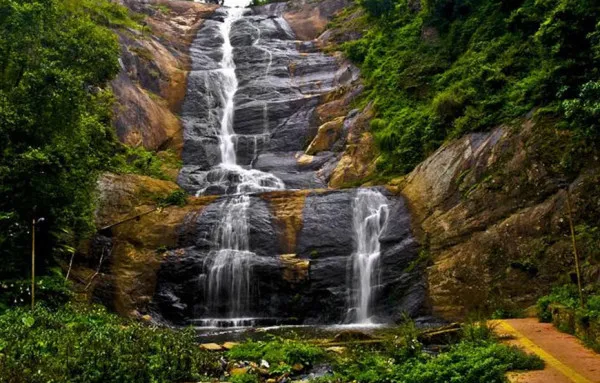 Griffin Travels Avatar Bg