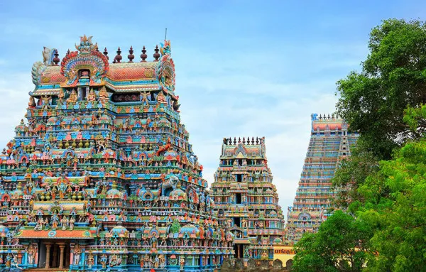 Griffin Travels Avatar Bg