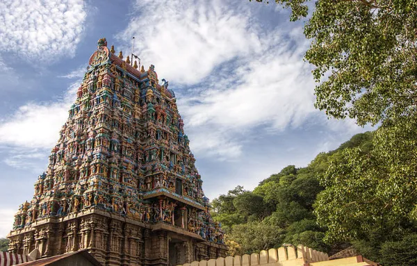 Griffin Travels Avatar Bg