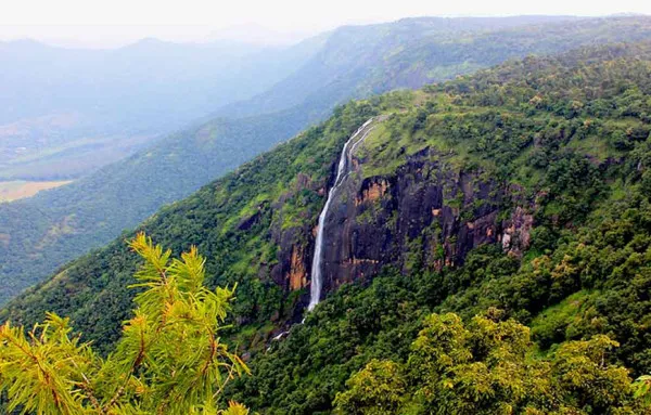 Griffin Travels Avatar Bg