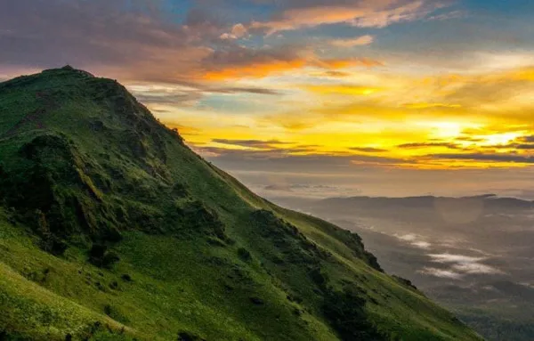 Griffin Travels Avatar Bg