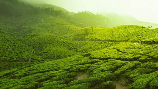 Dreamydistination Avatar Bg