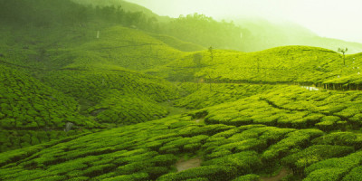 Madurai to Rameshwaram Travels Dreamy Tours