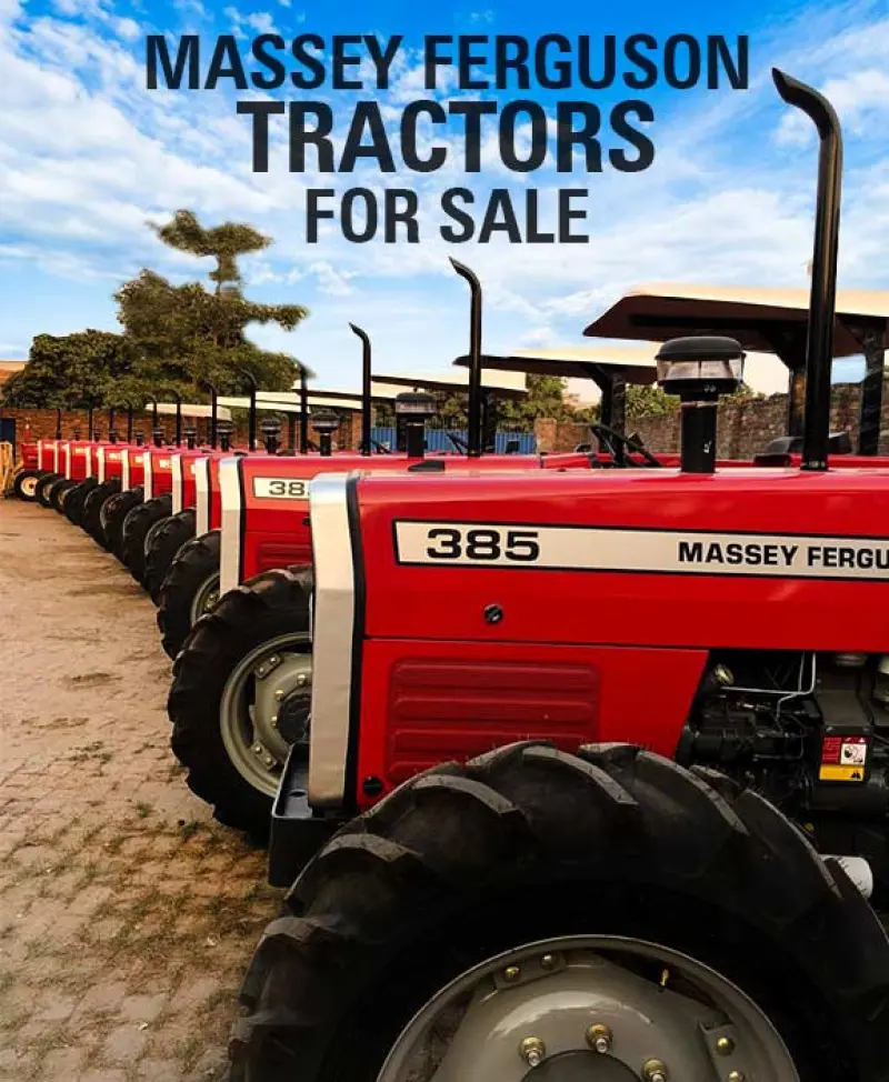 Massey Ferguson Libya Avatar Bg