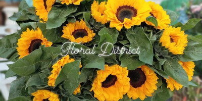 Sunflower Boutique-န က ပန -Sunflower is Awake Now!