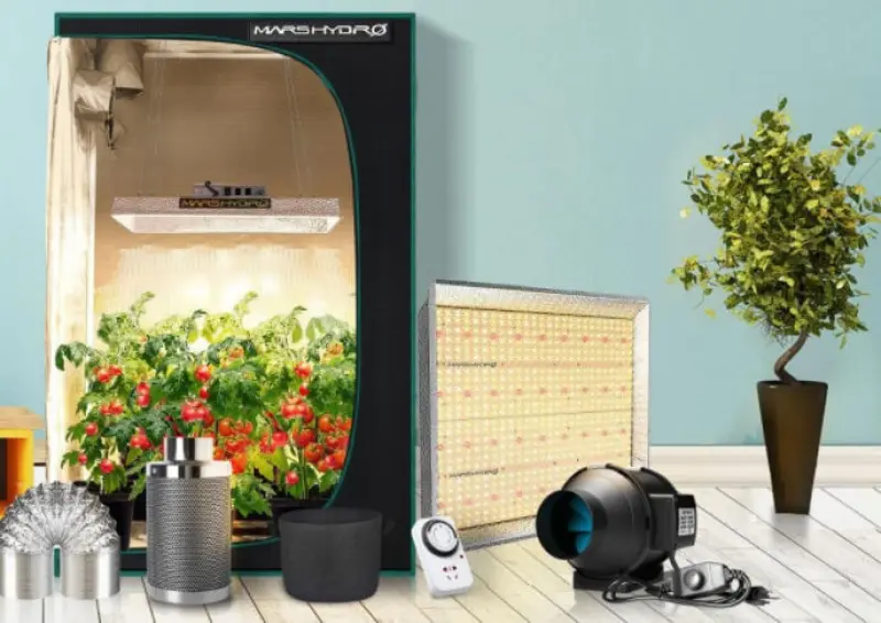 Online Top Garden Avatar Bg
