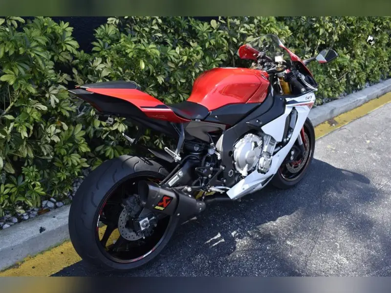 Hadi Malik Avatar Bg