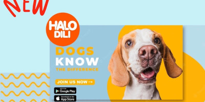 Best Online Shopping App in Timor-Leste HaloDili