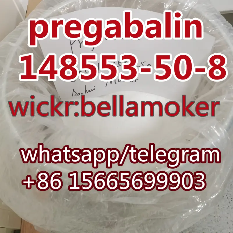 Bellaoker Avatar Bg