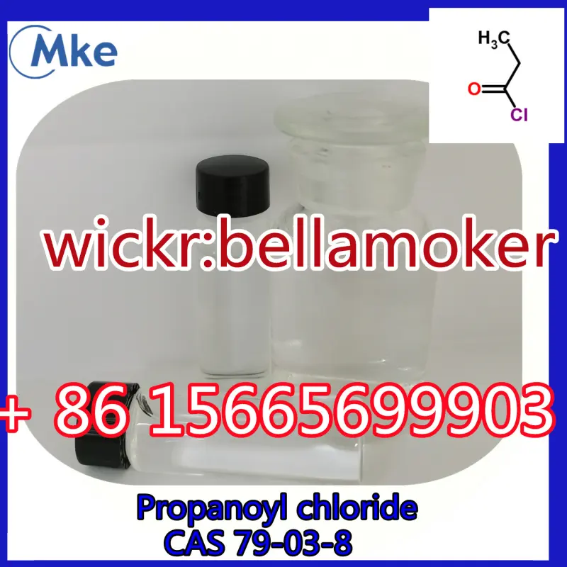 Bellaoker Avatar Bg