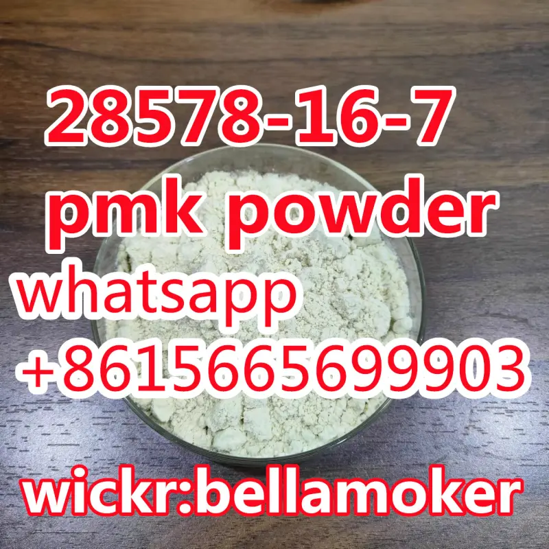 Bellaoker Avatar Bg