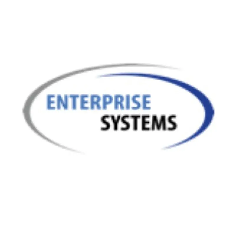Enterprise Systems Avatar Bg