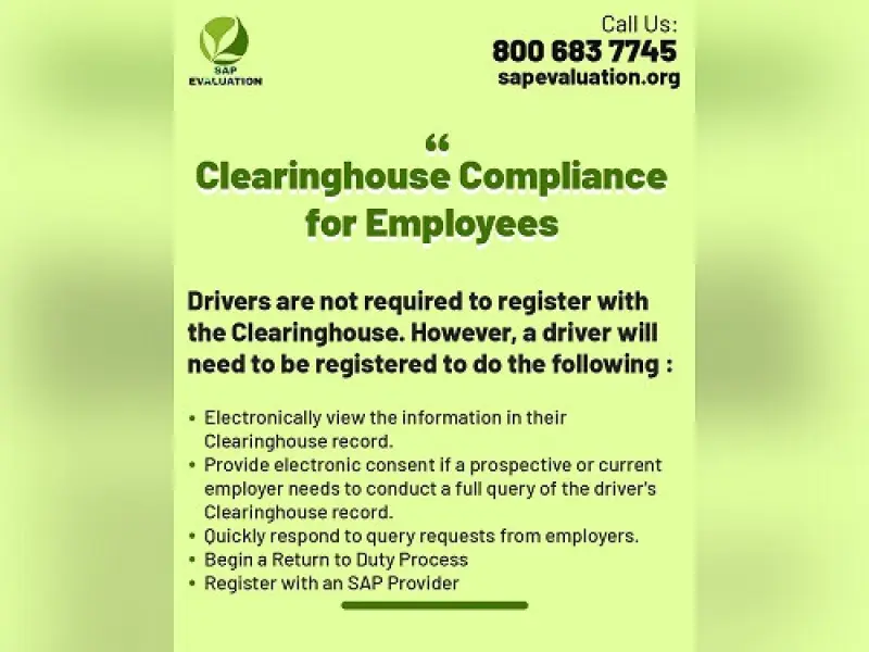 SAP Evaluation Avatar Bg