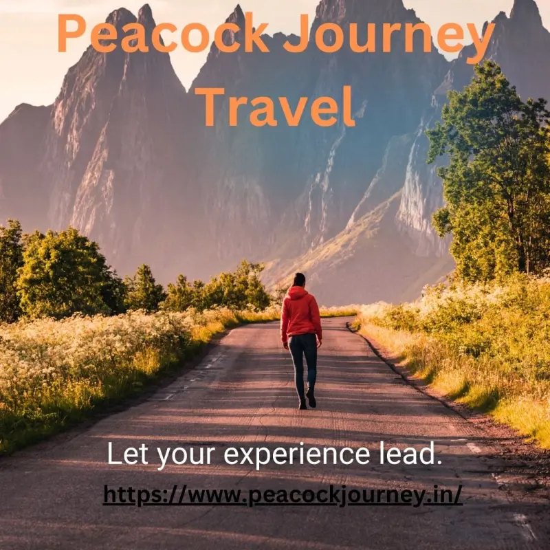 Peacock Journey Travel Avatar Bg