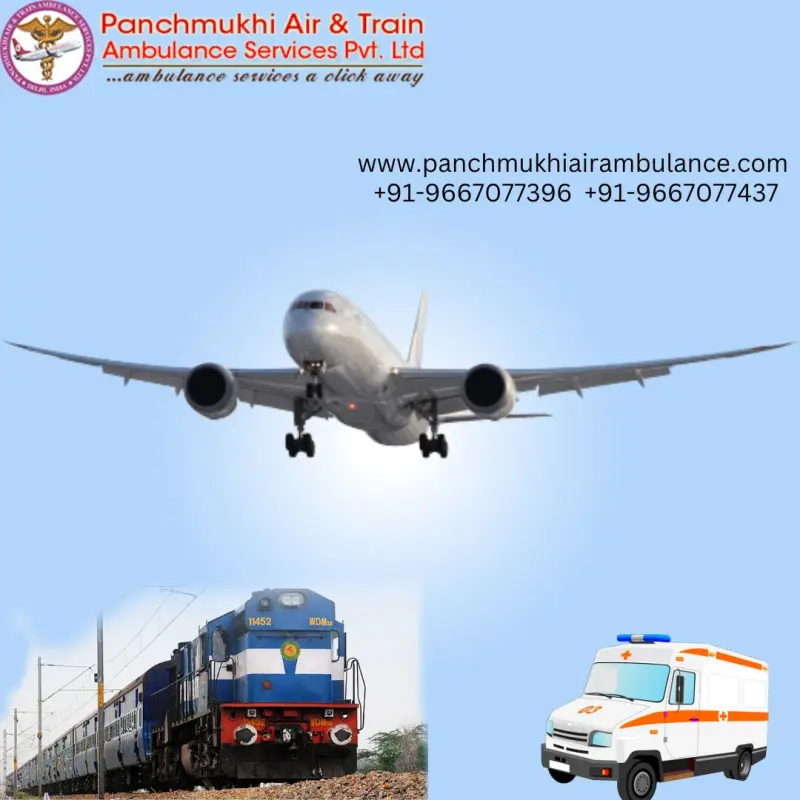 Panchmukhi Air Ambulance Avatar Bg